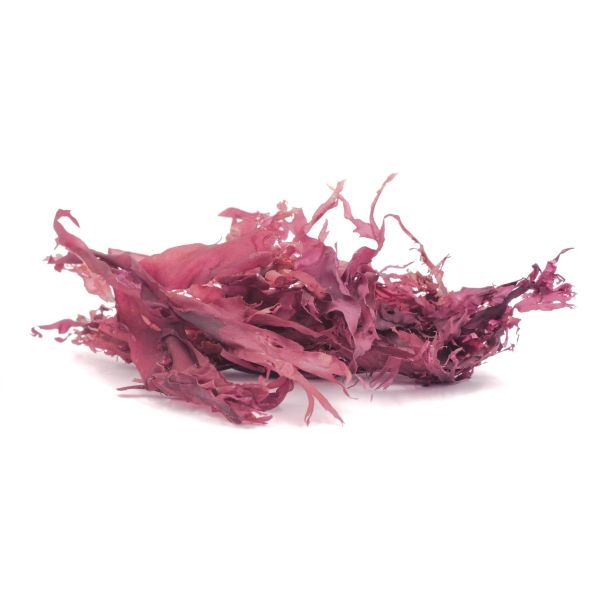 Bio Alge Dulse Blätter