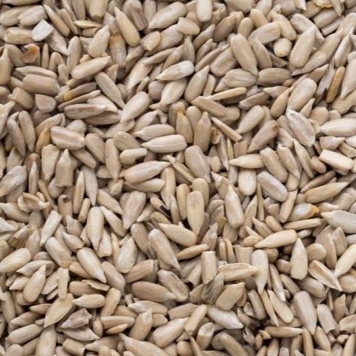 Bio Sonnenblumenkerne aus Europa in Premium-Rohkostqualität
