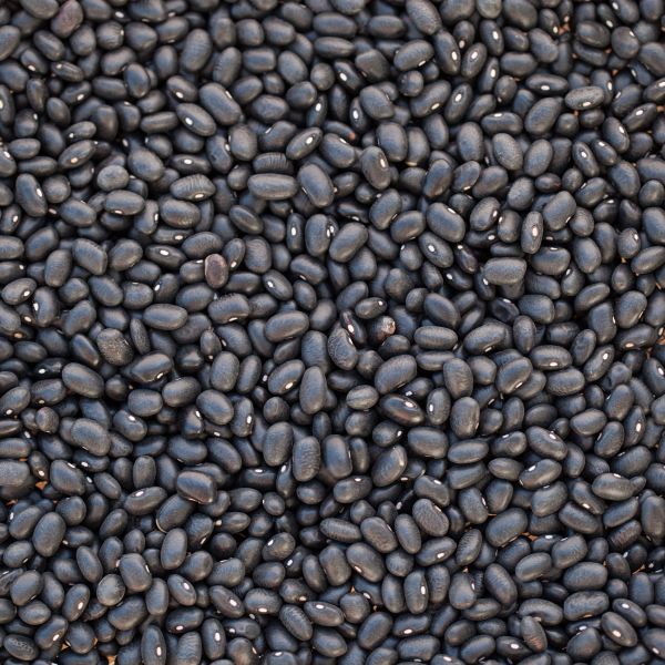 Bio Bohnen, schwarz (black turtle) in Premium-Rohkostqualität