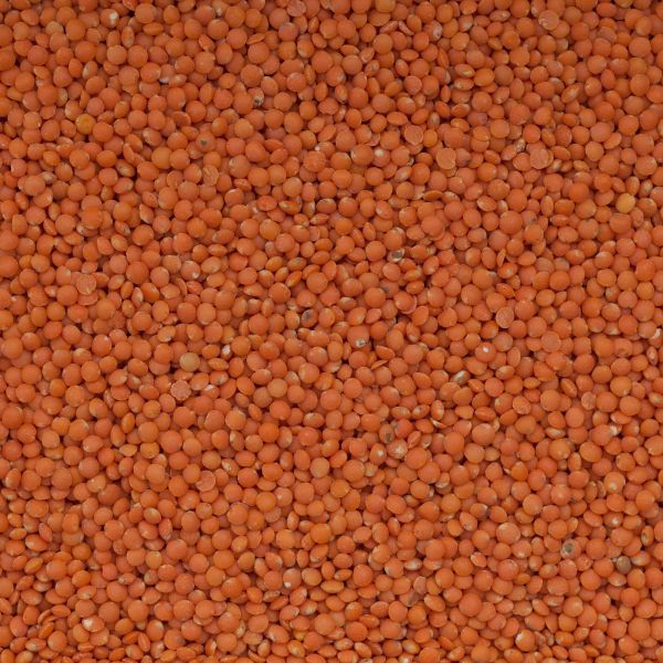 Bio Linsen rot Premium-Rohkostqualität