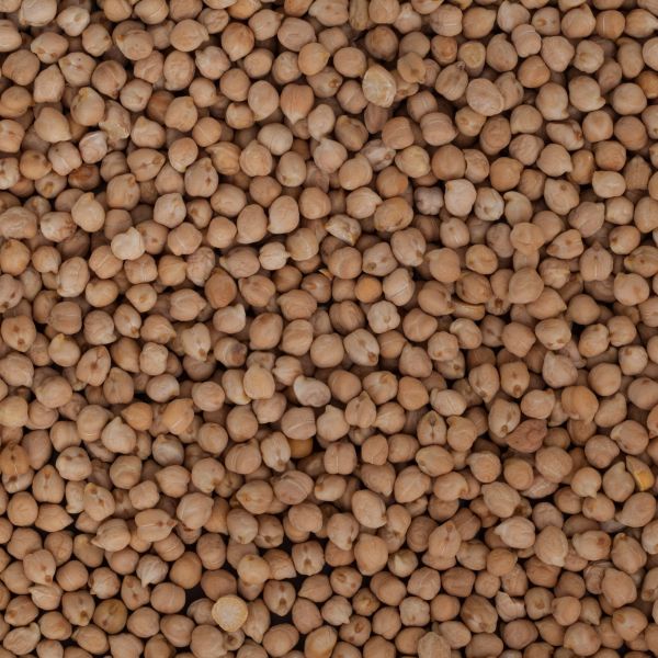 Bio Kichererbsen Premium-Rohkostqualität