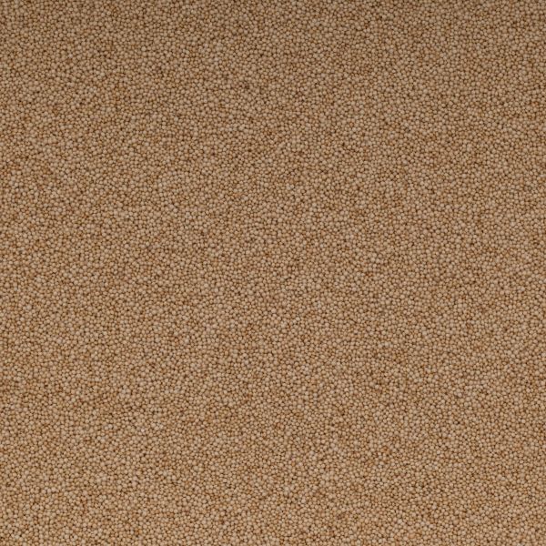Bio Amaranth gepufft / gepoppt