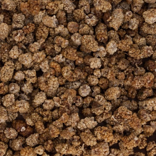 Bio Maulbeeren in Rohkostqualität