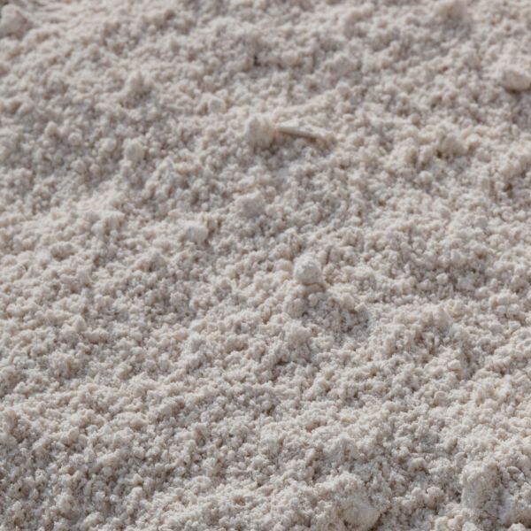 Kastanienmehl bio, glutenfrei in Premium-Rohkostqualität