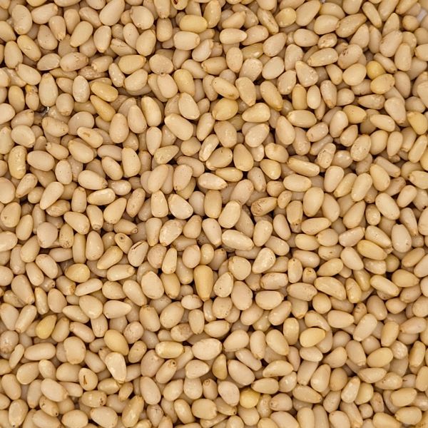 Bio Pinienkerne in Rohkostqualität