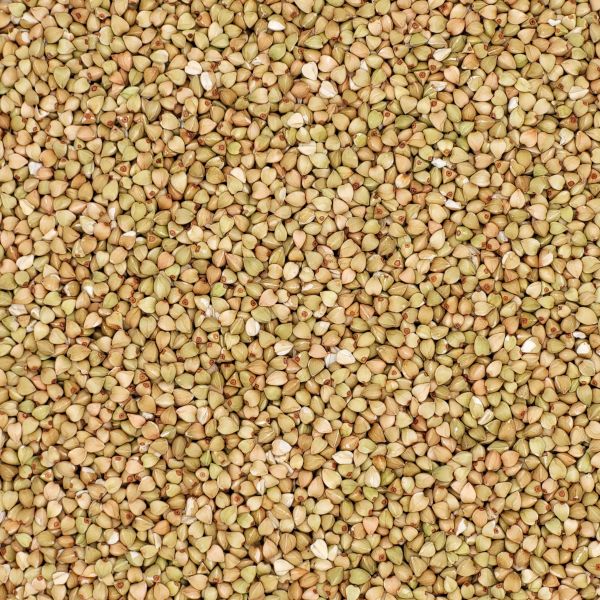 Bio Buchweizen Rohkostqualität