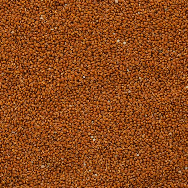 Bio Braunhirse ganz, Rohkostqualität