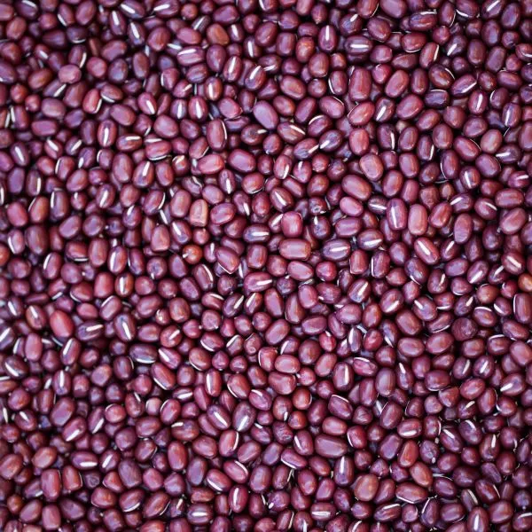 Bio Azukibohnen in Rohkostqualität