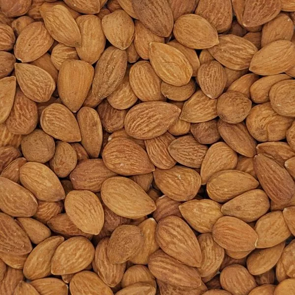 Bio Mandelkerne Jumbo, Rohkostqualität