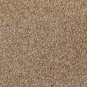 Bio Quinoa wei