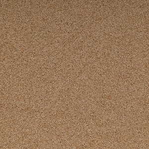 Bio Amaranth gepufft / gepoppt