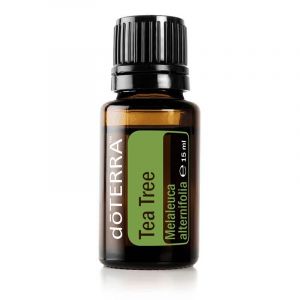 doTERRA Tea Tree (Teebauml)