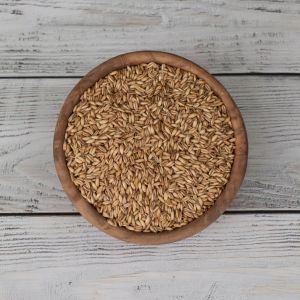 Nackthafer in Premium-Rohkostqualität